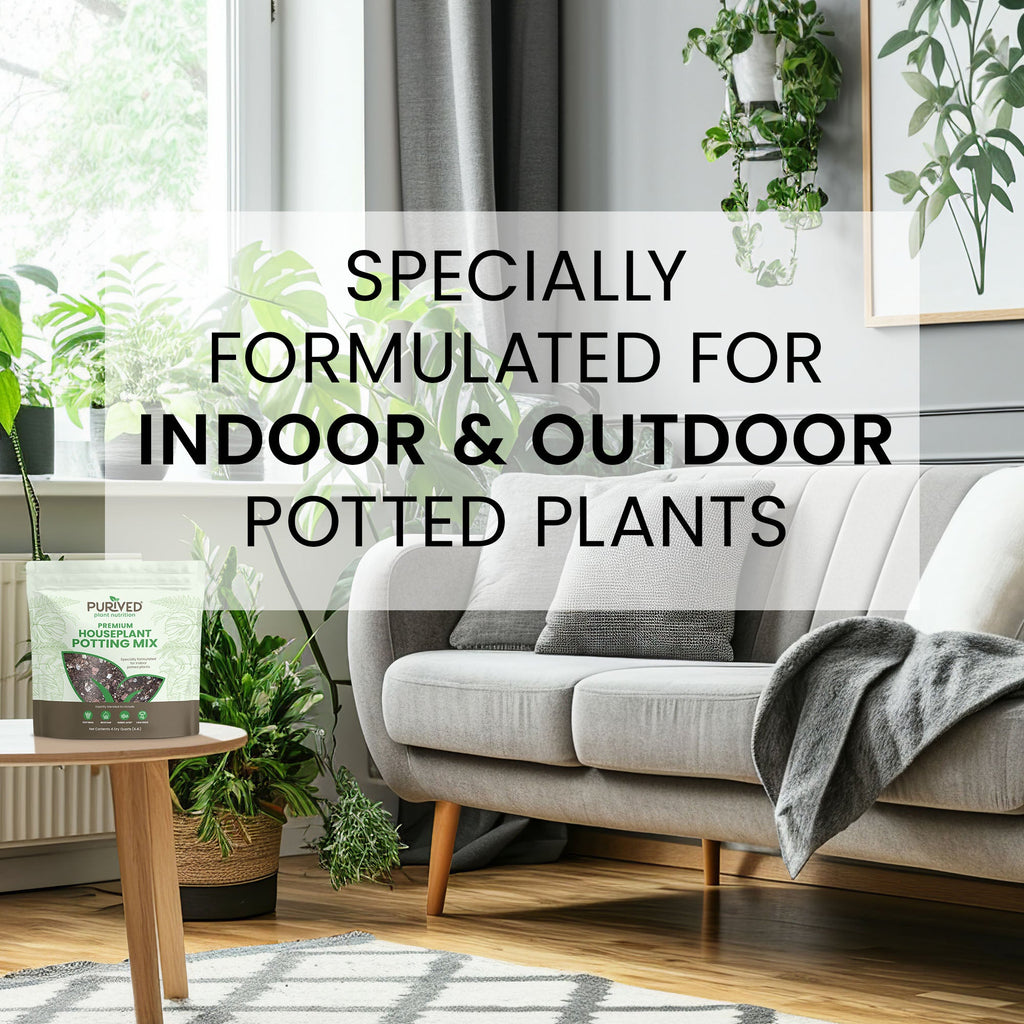 Purived Premium Houseplant Potting Mix